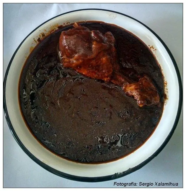 mole de zongolica
