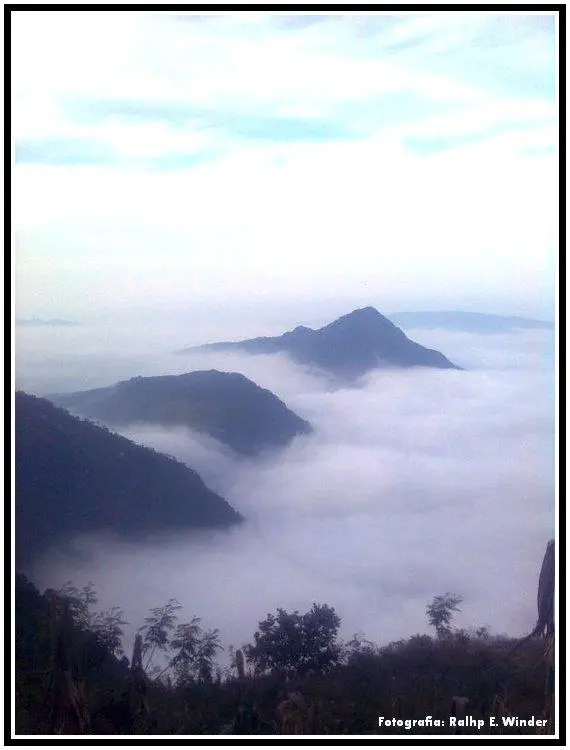 Mixtla de Altamirano